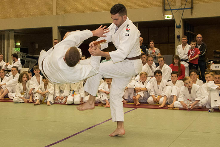 Jiu jitsu training